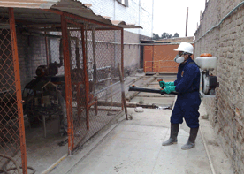 Fumigaci�n por nebulizaci�n