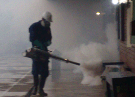 Ejemplo de Termonebulizaci�n